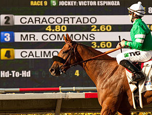 Caracortado wins the 2011 Del Mar Mile