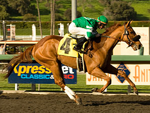 Caracortado wins the 2010 Robert Lewis Stakes.