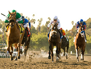 Caracortado wins the 2010 Robert Lewis Stakes.