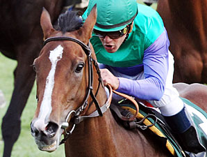 Casablanca Smile wins the Rood and Riddle Dowager Stakes.