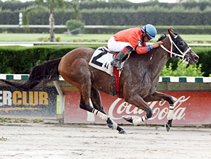 Cash Rules wins the 2012 Band Is Passing Stakes.