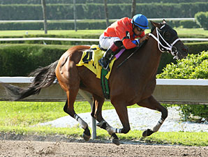 Cash Rules wins the 2012 Sumter Stakes.