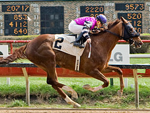 Catalina Way wins the 2011 Peach Of It Handicap.