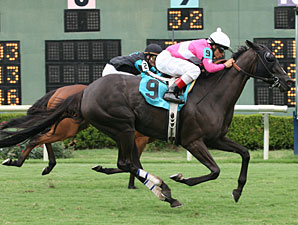 Category Seven wins the 2010 Top Corsage.