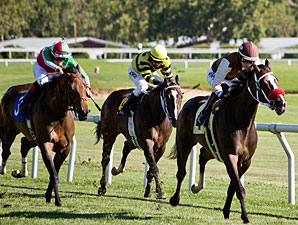 Catrageous wins the 2013 Wine Country Stakes.