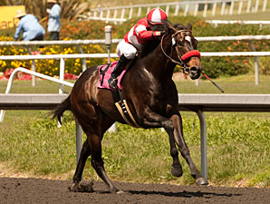 Celebrity Status wins the NTRA Stakes.