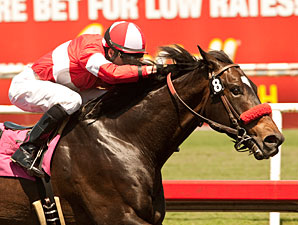 Celebrity Status wins the NTRA Stakes.