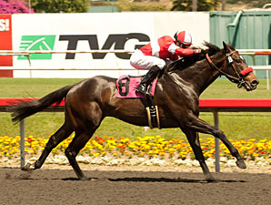Celebrity Status wins the NTRA Stakes.