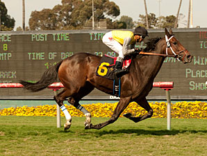 Celtic Princess wins the Royal Hreoine.
