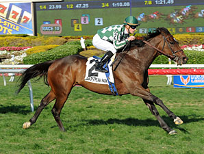 Centre Court wins the 2013 Honey Fox.