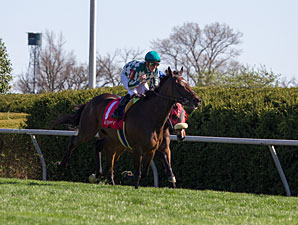Centre Court wins the 2013 Jenny Wiley.
