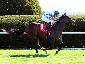 Centre Court wins the 2013 Jenny Wiley.