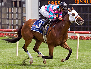Chamberlain Bridge wins the 2010 Arlington Sprint.