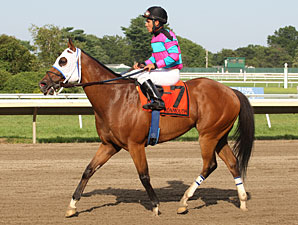 Chamberlain Bridge wins the 2012 My Frenchman Stakes.