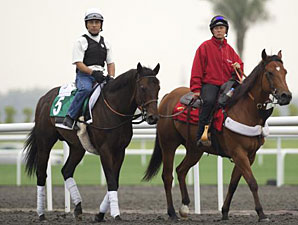 Champ Pegasus Dubai 2011