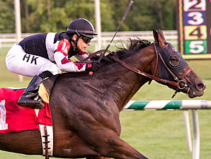 Charged Cotton wins the 2012 All Brandy Stakes.