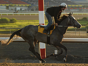 Charismatically - Woodbine June 1, 2011