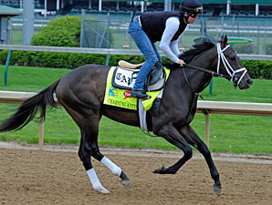 Charming Kitten preps for the Kentucky Derby at Churchill Downs.