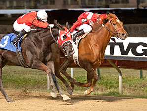 Chatfield Road wins the Jim Edgar Illinois Futurity.
