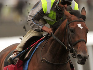 Check Your Soul preps for the Queen's Plate.
