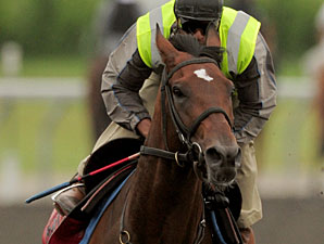 Check Your Soul works for the Queen's Plate.