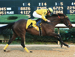 Cheery wins the American Beauty Stakes.