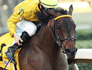 Cheery wins the American Beauty Stakes.