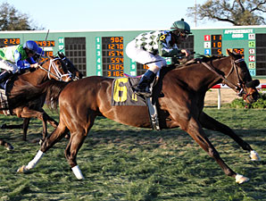 Cherokee Queen wins the 2012 Marie G. Krantz Memorial Handicap.