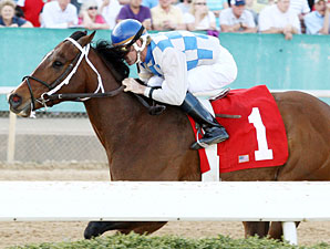 Chief Of Affairs in the 2011 Hot Spring Stakes.
