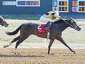 Chifforobe wins the 2014 Clem McSpadden Memorial Route 66 Stakes.