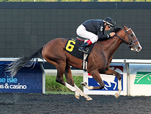 Chippewawhitechief wins the Mark McDermot Stakes.