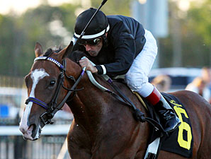 Chippewawhitechief wins the Mark McDermot Stakes.