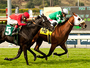 Chips All In wins the 2012 Pasadena.