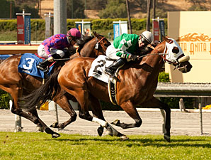 Chips All In wins the 2013 San Simeon.