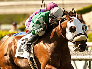 Chips All In wins the 2013 San Simeon.