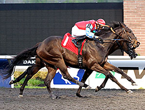 Choctaw Chuck wins the Tom Ridge Stakes.