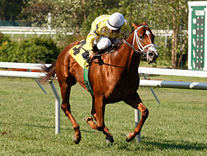 Christiesborntorun Monmouth Allowance, August 5, 2011.