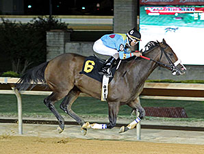 Chrome Mine wins the 2014 Ann Hilton Handicap.