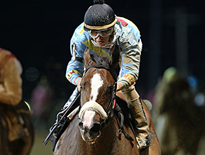 Chrome Mine wins the 2014 Ann Hilton Handicap.
