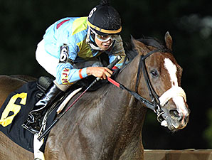 Chrome Mine wins the 2014 Ann Hilton Handicap.