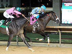 Chrome Mine wins the 2014 Sylvia Bishop Memorial Stakes.
