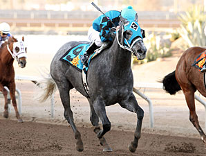 Chuchuluco wins the 2010 Johnie L. Jamison Stakes.