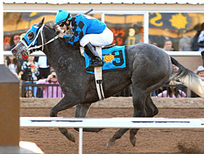 Chuchuluco wins the 2010 Johnie L. Jamison Stakes.
