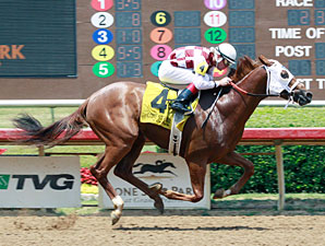 Circustown Flyer wins the 2013 TTA Sales Futurity.