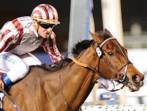 Cirrus Des Aigles in the Dubai Sheema Classic.