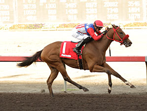 City by the Bay wins the 2013 Barretts Debutante Stakes.