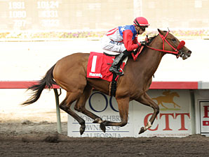 City by the Bay wins the 2013 Barretts Debutante Stakes.