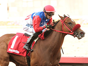 City by the Bay wins the 2013 Barretts Debutante Stakes.