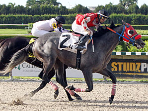 City Of Weston wins the Big Drama Stakes.