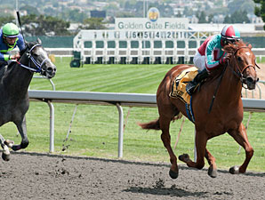 City Route wins the 2011 Lost In the Fog Stakes.